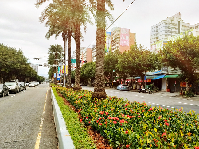 景觀廊道文化一路成為林口區具代表性的特色道路。 圖：新北市景觀處提供