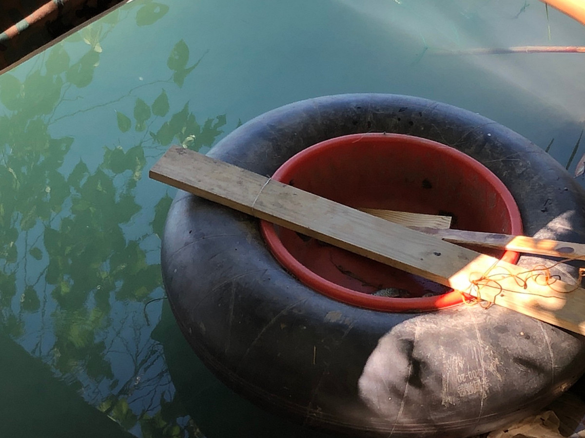 誘拍魚鷹的小船及魚餌。 圖：新北市動保處提供