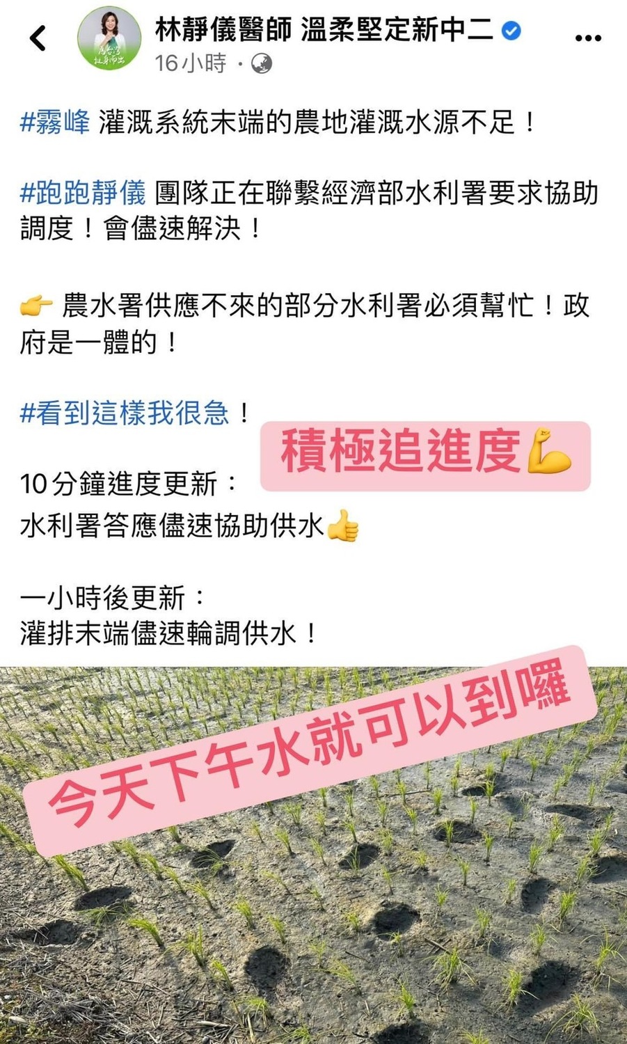 霧峰農田缺水，立委林靜儀要求水利署儘速解決。 取自林靜儀臉書
