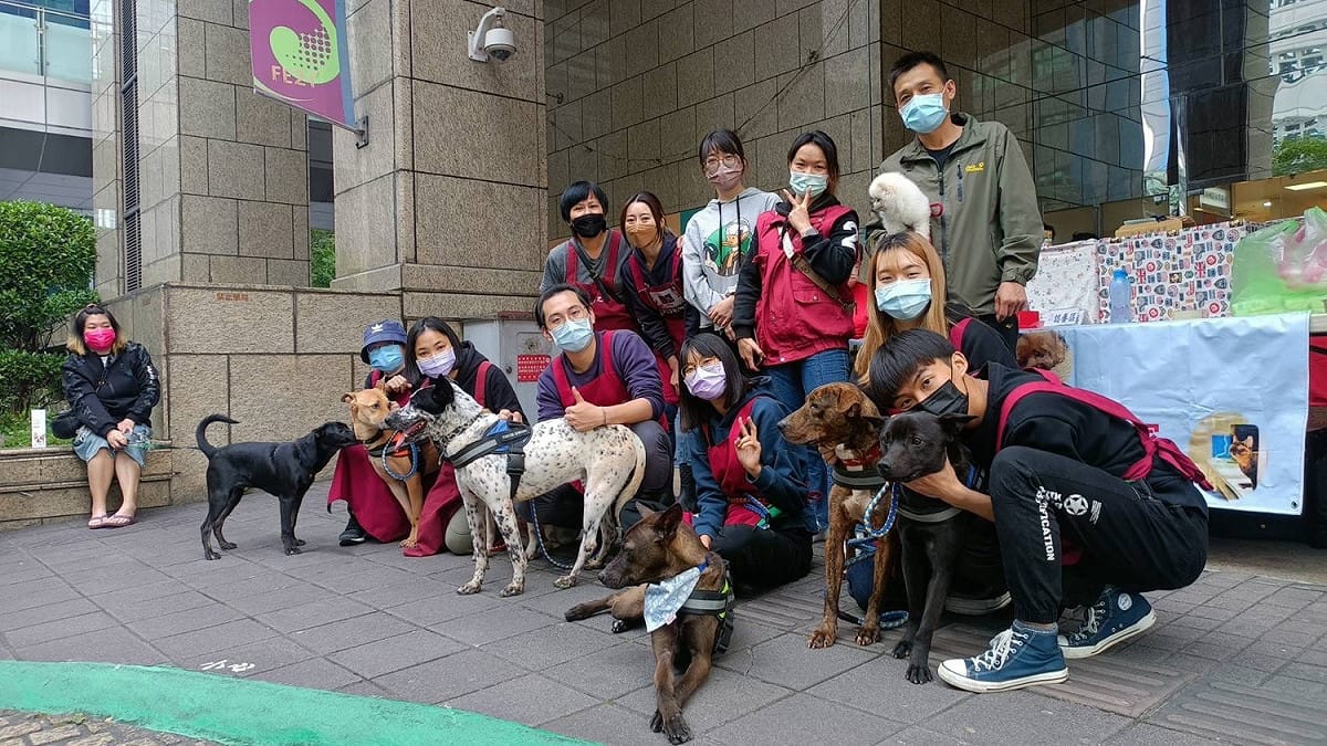 溫惠婷（後排右二）等動保員與志工合作推廣犬貓認養。 圖：新北市動保處提供