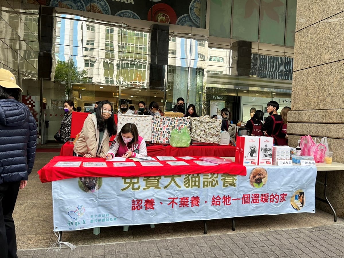 新北市動保處3月4日起在板橋小遠百百貨約每2周辦理1次認養活動。 圖：新北市動保處提供