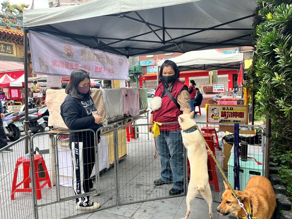 動保員陳美秀在假日辦理認養活動，提高曝光率。 圖：新北市動保處提供