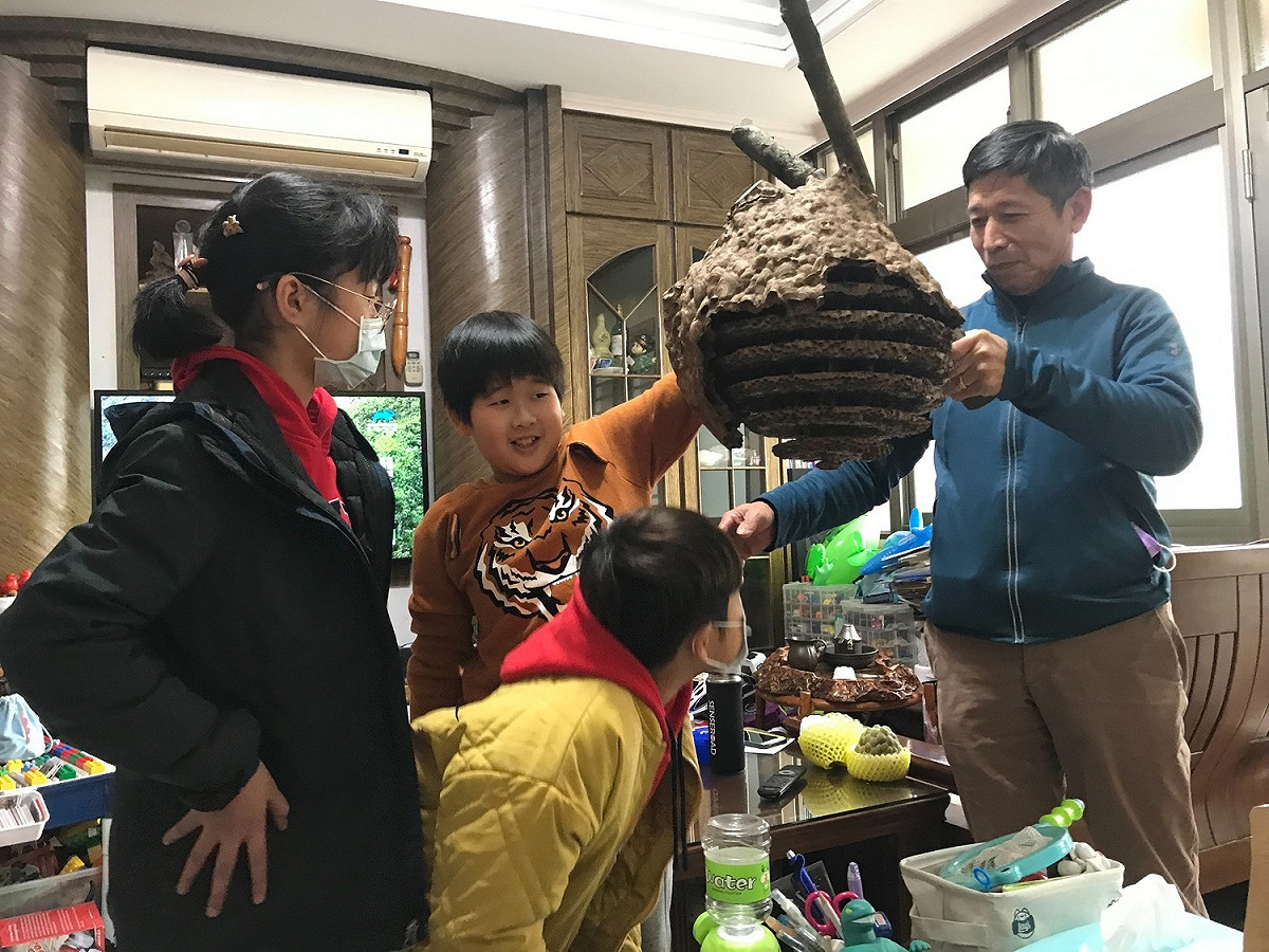 石門國小家長帶領學生認識蜂窩。 圖：新北市教育局提供