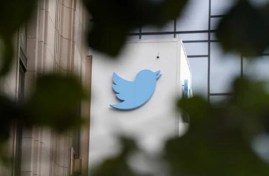 Twitter已成為馬斯克未上市公司X Corp旗下的子公司。 圖 : 翻攝自環球網
