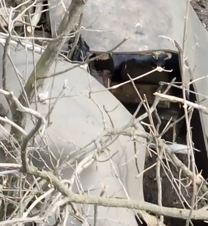 烏軍發現落單烏軍躲藏於樹林中。 圖：翻攝推特