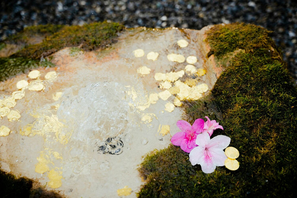 萬金杜鵑花展於萬里觀光公園打造「湧萬金」噴泉，堪稱是「新許願勝地」，每天人流眾多，到此祈福希望「擁萬金」。 圖：新北市農業局提供