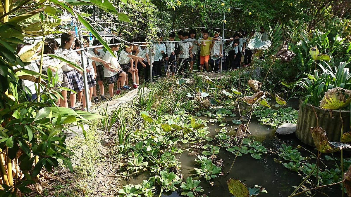 三重國小學生在校園生態池分享課程所見所得。 圖：新北市教育局提供