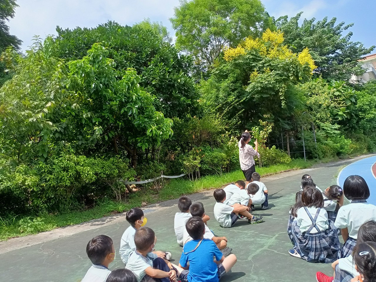 三重國小環境教學及校園自然情境俱佳－獲獎教師正在校內生態園區進行教學。 圖：新北市教育局提供