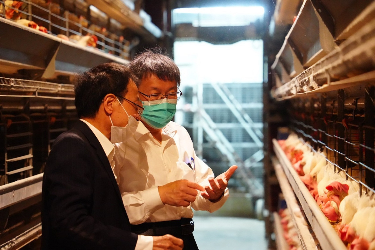 民眾黨主席柯文哲赴彰化參訪蛋雞畜牧場。 圖：民眾黨 / 提供