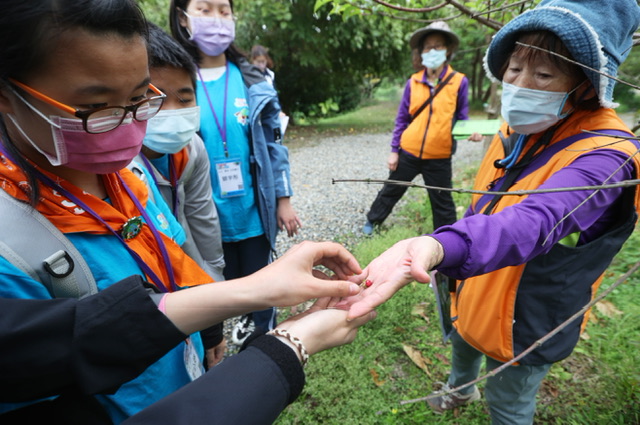走訪漳和濕地認識濕地生態。 圖：新北市環保局提供