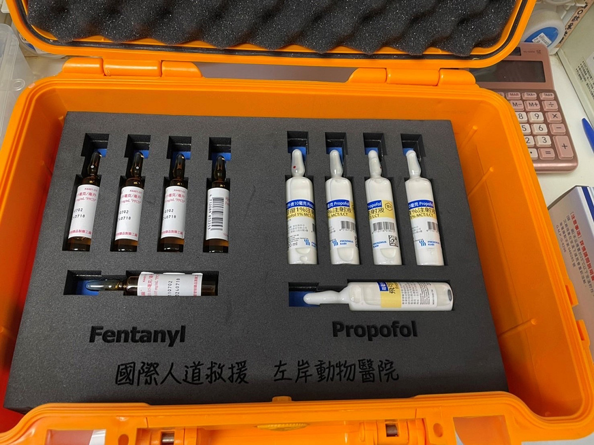 消防局快搜部隊近年來積極投入人力及添購器材，參與許多重大災害搜救工作，並於國內台南、花蓮震災救援有功，支援國內外震災搜救經驗豐富。 圖：新北市消防局提供