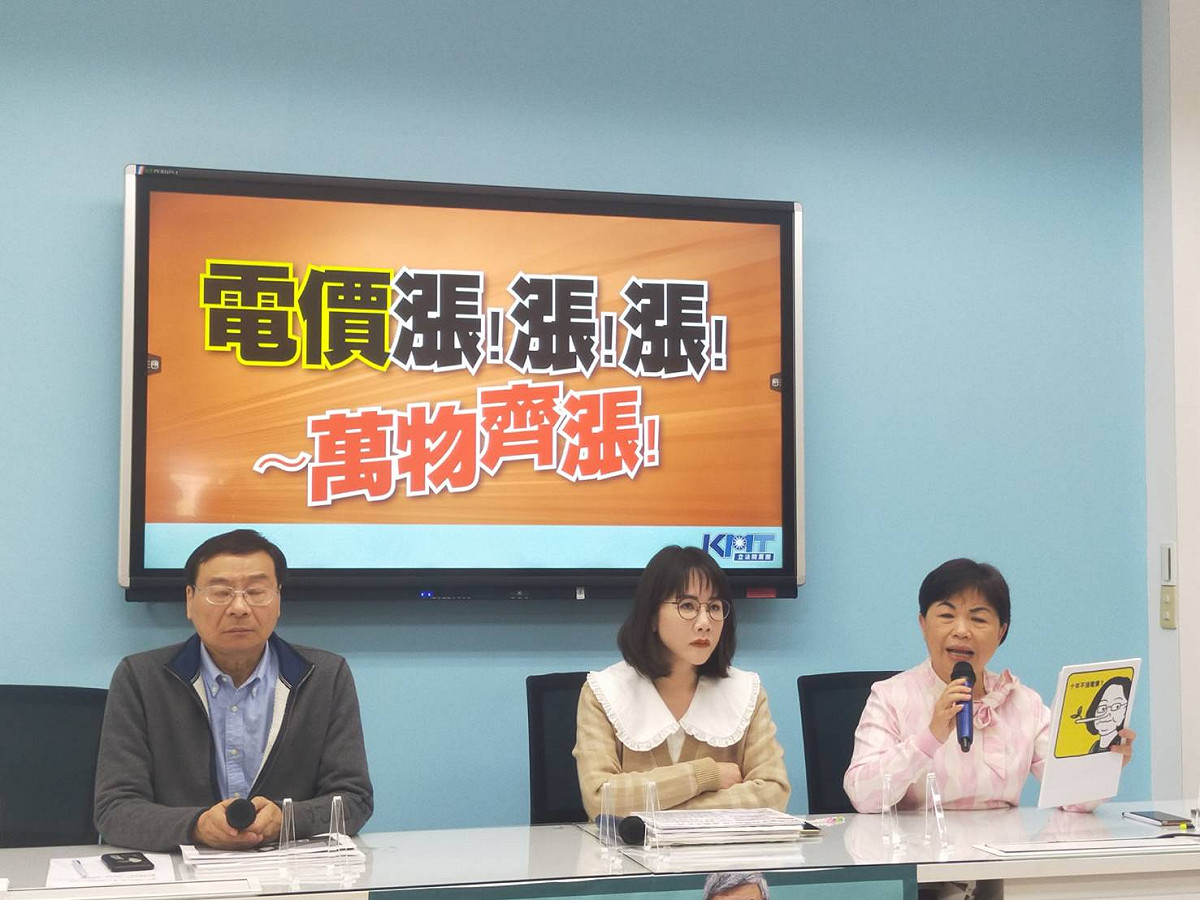 國民黨團召開記者會，呼籲蔡政府盡快檢討錯誤的能源政策。 圖：國民黨立法院黨團/提供
