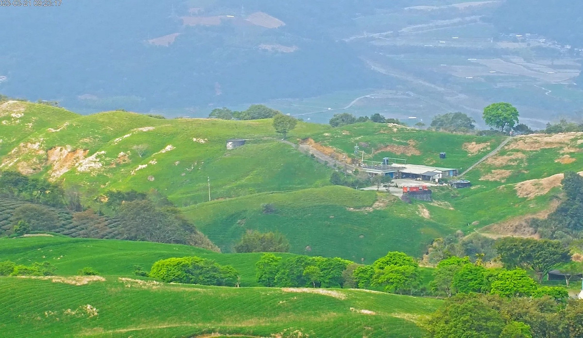 恙蟲容易在「草叢」環境孳生，全台灣在「花東地區」及「離島地區」感染病例數較多，疾管署提醒民眾要做好三大防護措施。 圖：翻攝自花蓮六十石山即時影像