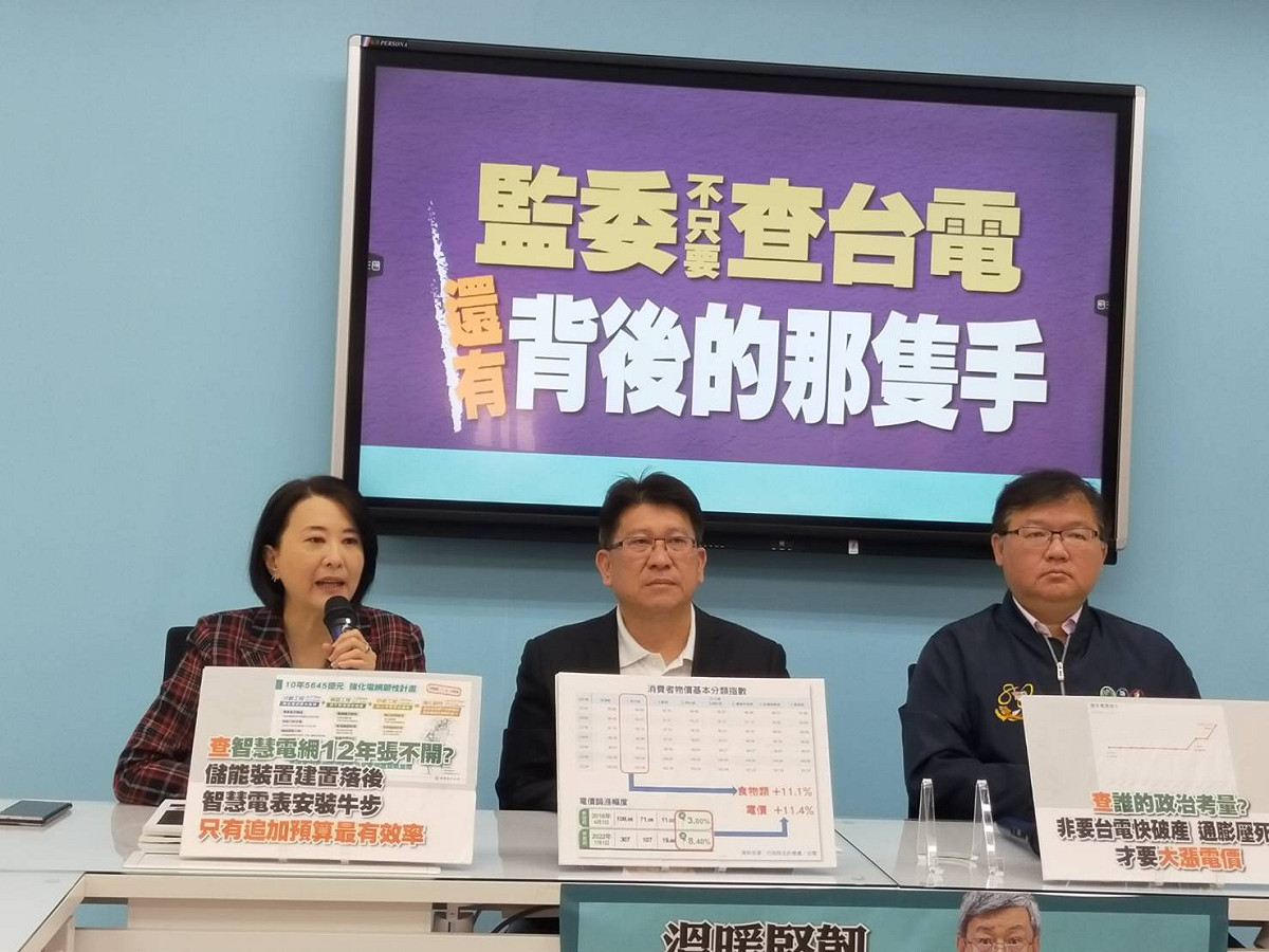國民黨團召開記者會，呼籲監察院調查台電虧損原因。 圖：國民黨立法院黨團/提供