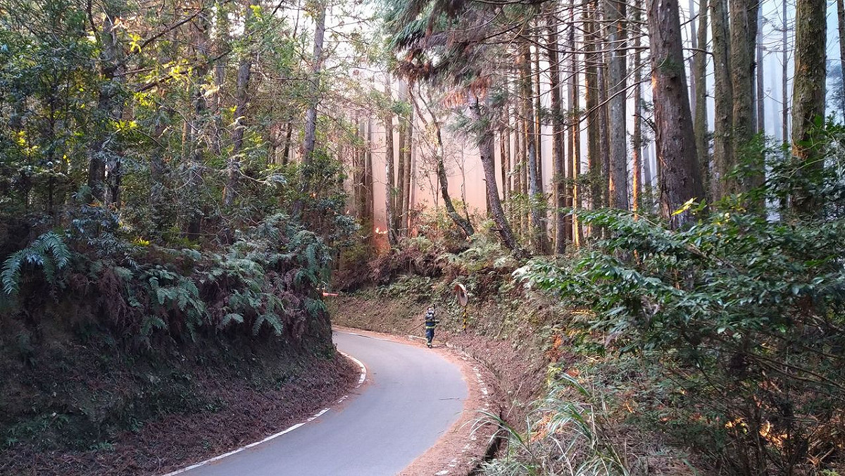新竹縣地區的大鹿林道，昨(23)日發生森林大火。 圖：翻攝自新竹縣政府消防局臉書