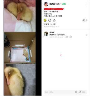小丫頭可愛睡眠萌樣放上網路立刻吸引眾人目光。 圖：新北市動保處提供