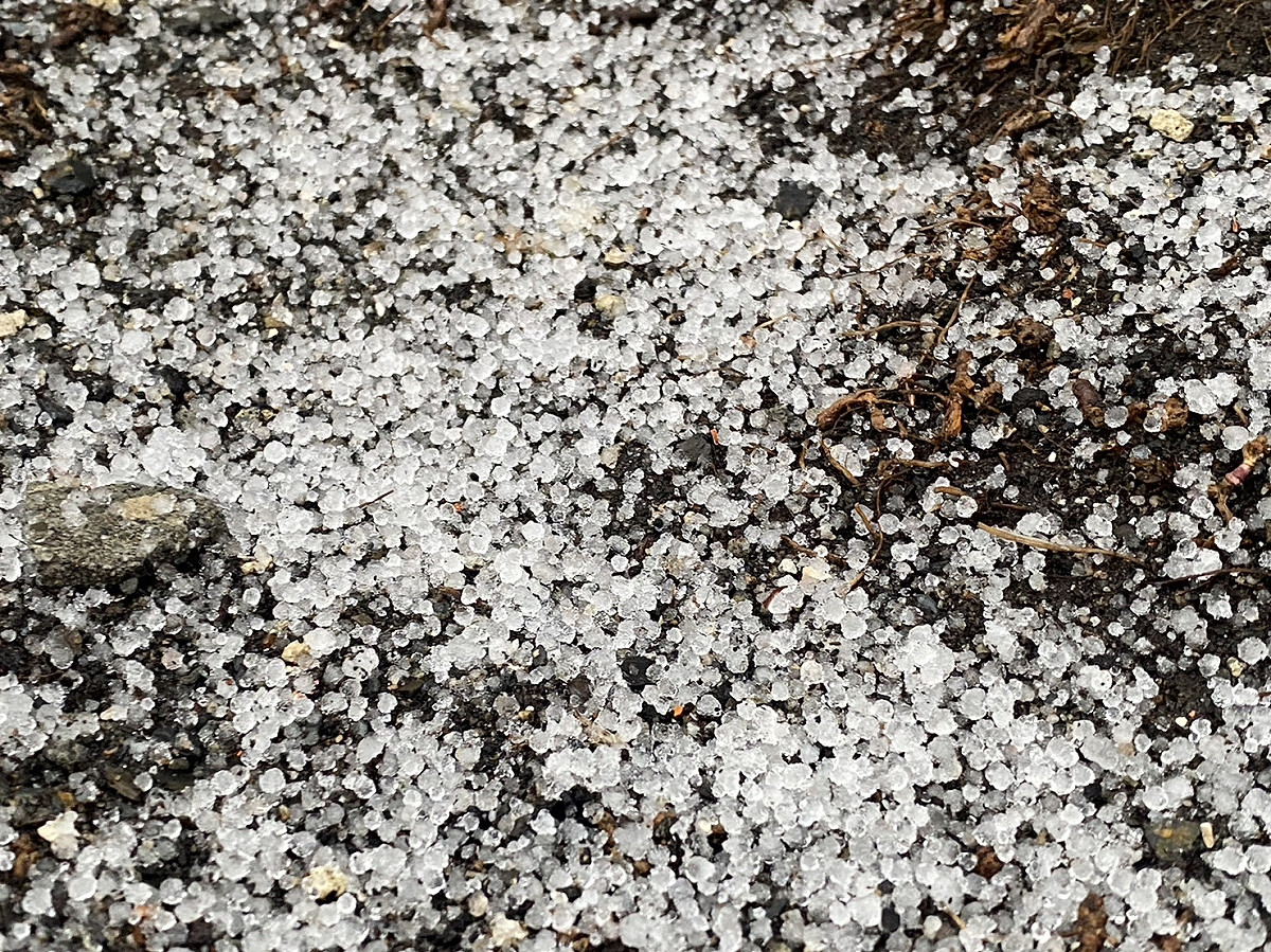 今天清晨6時40分玉山先降下冰珠。 玉山在清晨7時5分至15分降下三月雪