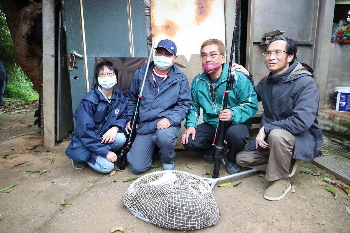 桃園市農業局人員捕獲狒狒第一時間先拍照的做法引起網友熱議。 圖 : 取自王浩宇臉書