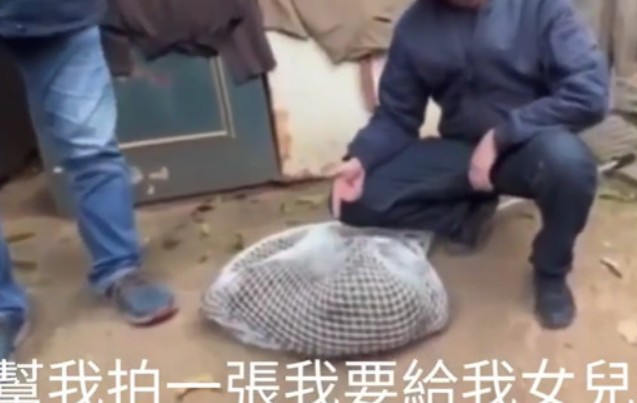 桃園市農業局人員拿出手機和奄奄一息的狒狒擺拍，要求「幫我拍一張，我要給我女兒」。 圖：翻攝王浩宇臉書