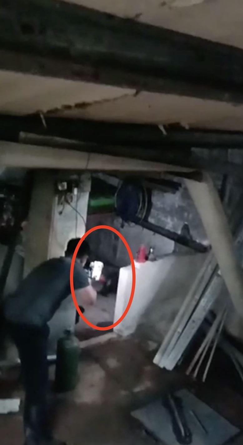狒狒遭近距離開槍畫面在網路上瘋傳。 圖：翻攝自我是中壢人臉書