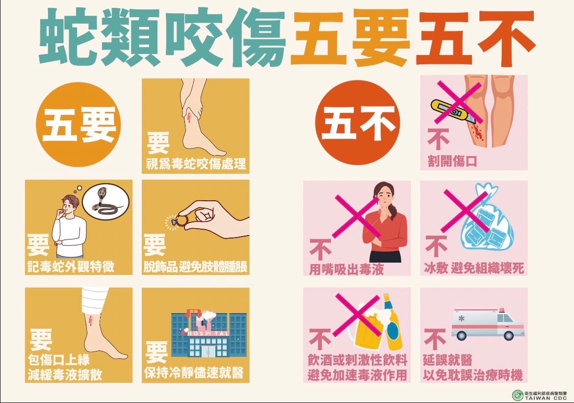 疾管署呼籲，讀類咬傷時，請做好五要五不，保護自己，並且盡速就醫。 圖：疾病管制署／提供