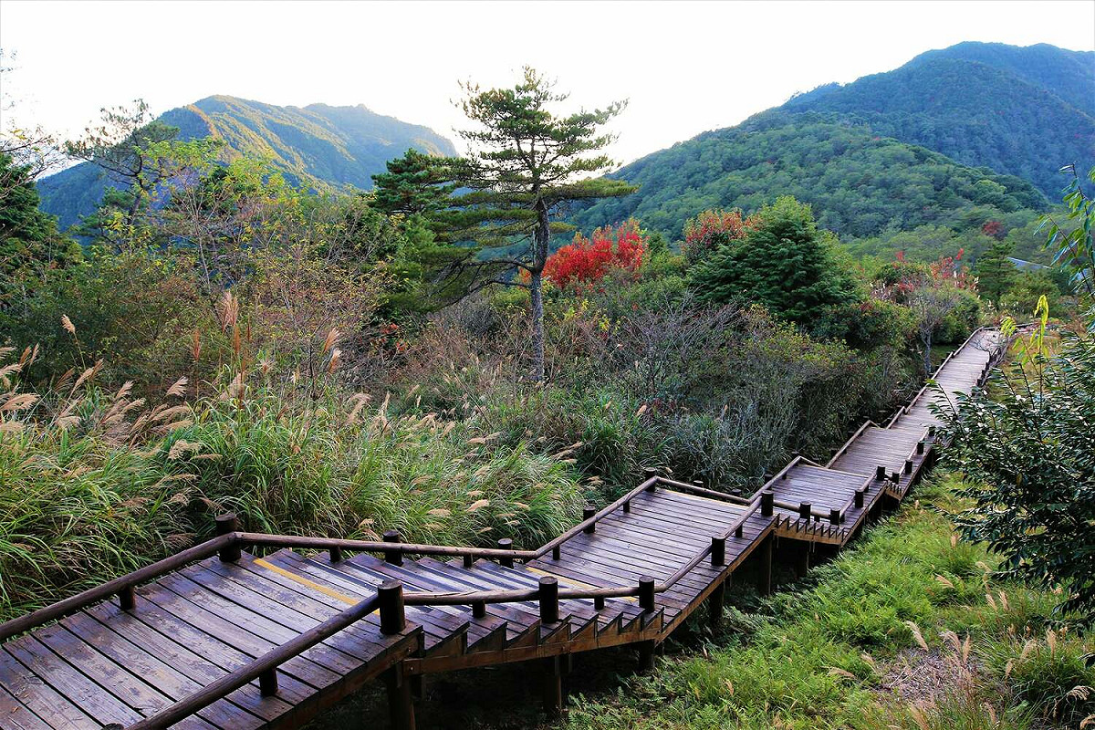 觀霧遊憩區內的雲霧步道、觀霧山椒魚生態中心（觀霧管理站）後方戶外平台將進行整建工程。 圖：翻攝自雪霸國家公園臉書