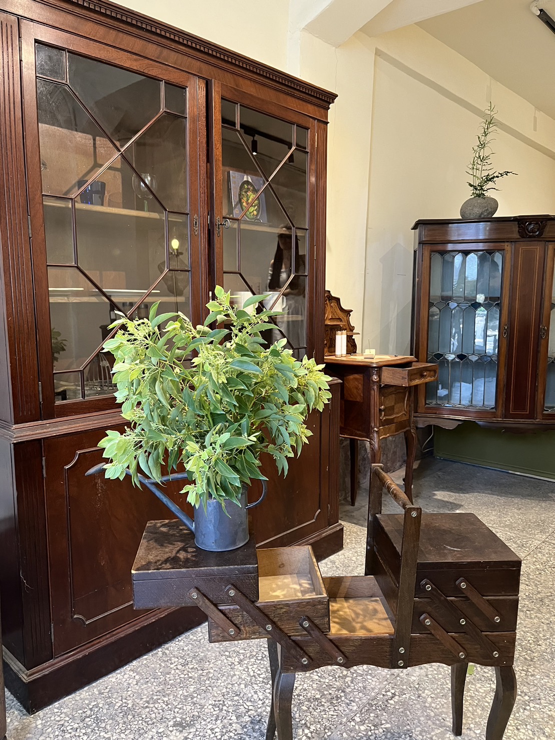 文化局自營區店家，週四待在家【室內裡的自然】，利用植栽與古董結合，老物件創造新生命力。 圖：新北市文化局提供