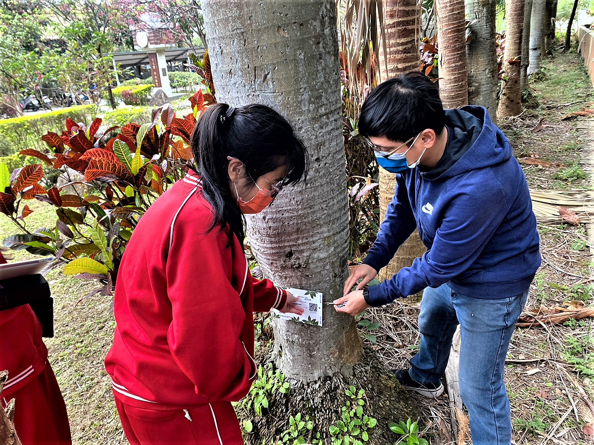 八里國中老師王俊凱指導學生掛樹木解說牌 圖：新北市教育局提供