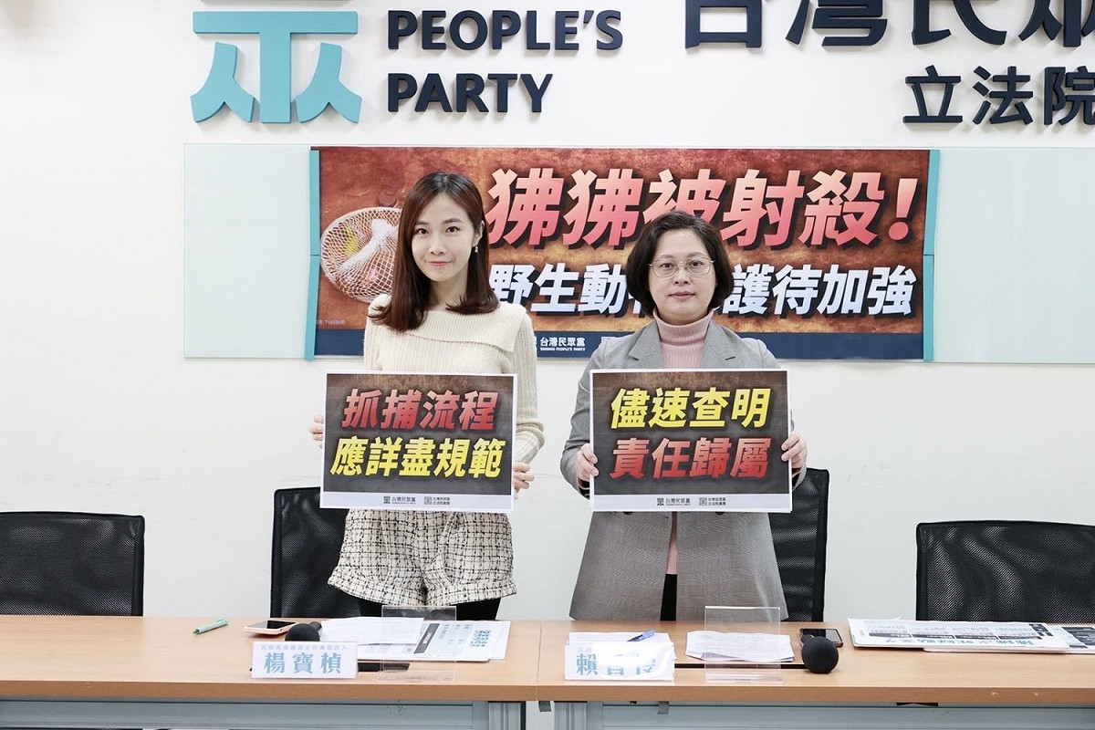 逃亡數日的東非狒狒最後遭射殺，民眾黨立院黨團呼籲應針對誘捕動物制定SOP、查明責任歸屬。 圖：民眾黨團 / 提供
