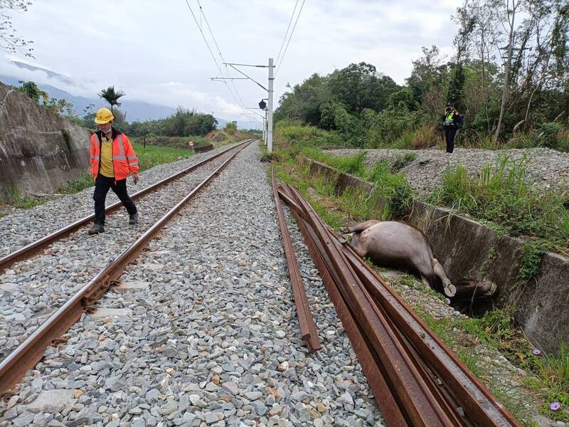 昨日事故造成區間車排障器也受損變形。 圖：鐵道警察局／提供