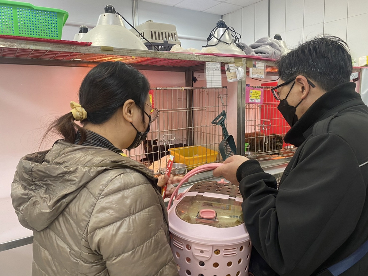 林姓女同學帶著提籠，全家一起到動物之家認養貓咪。 圖：新北市動保處提供