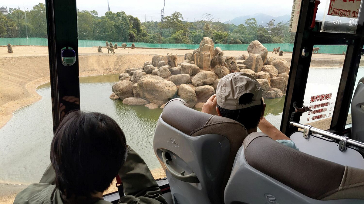 野生動物專家使用望遠鏡檢視場區環 圖：農委會林務局／提供