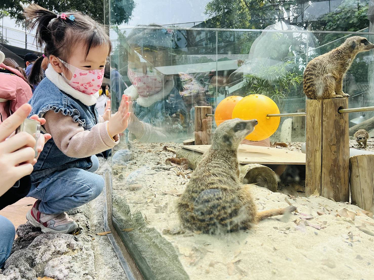 壽山動物園兒童節連假推加碼入園門票。 圖：高雄市觀光局/提供