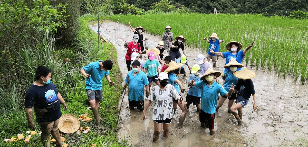 吉林水梯田挲草體驗。 圖：新北市教育局提供