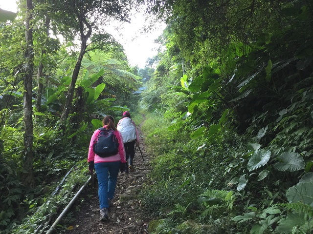 香防局提醒民眾，在登山活動進行前應準備充足的糧食、飲水。 圖：三峽區公所提供（示意圖）
