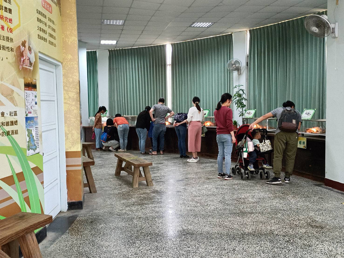 改建前民眾可觀賞蟋蟀生態及老照片。 圖： 台南市政府觀光旅遊局／提供