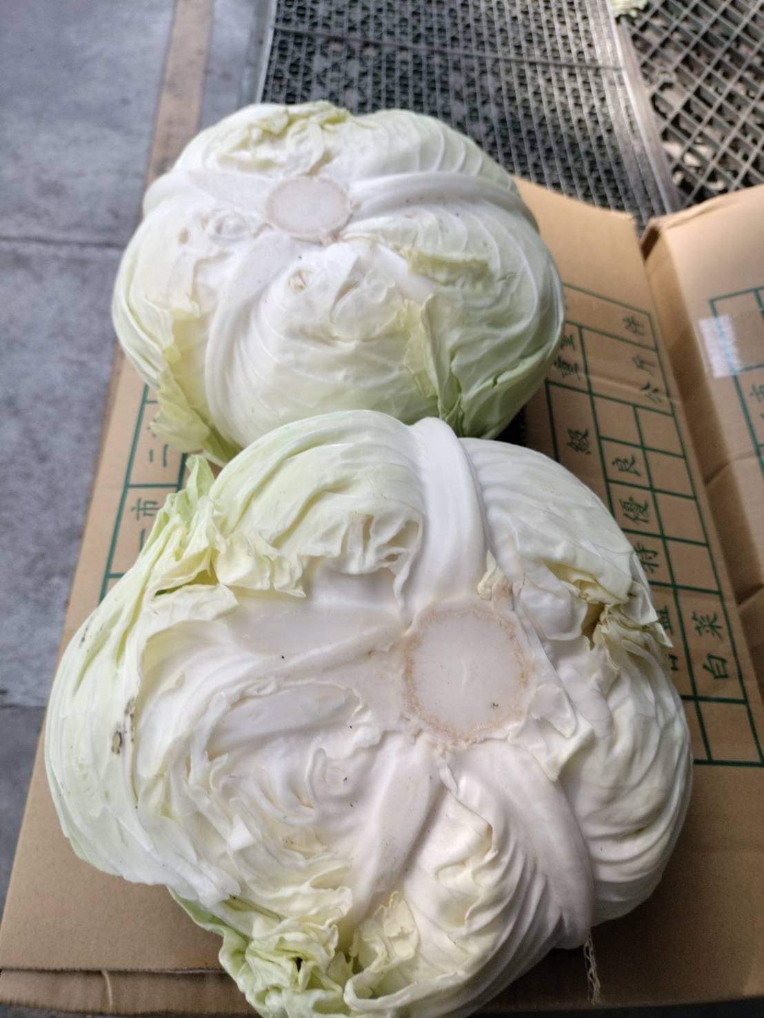 第一屆火雞肉飯名店路線半程馬拉松路跑活動，參賽者送高麗菜。 圖：主辦單位/提供