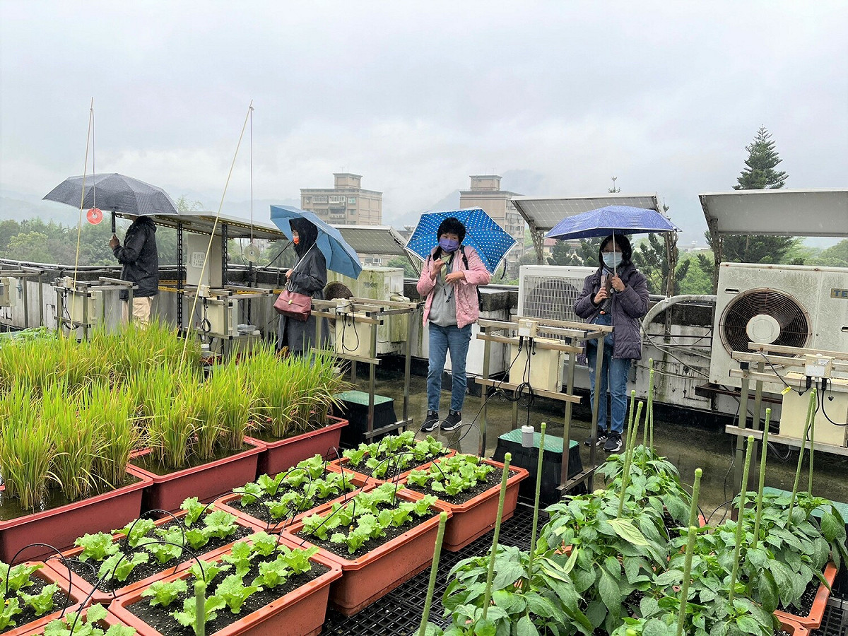 學員參觀教學農園環境監測系統。 圖：新北市教育局提供