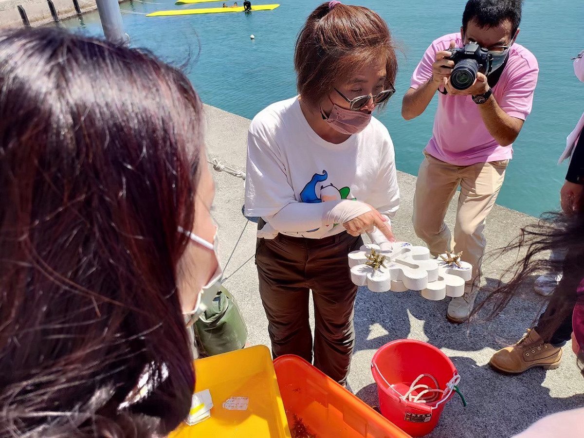 111年和美海之家珊瑚復育課程。 圖：新北市政府漁業處提供