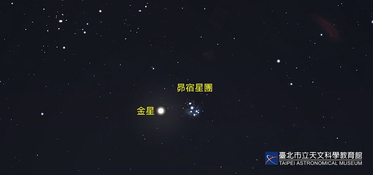 4月11日將出現「金星合昴宿星團」，最亮的行星與最美的星團將相遇在夜空。 圖：翻攝自台北市立天文館官網