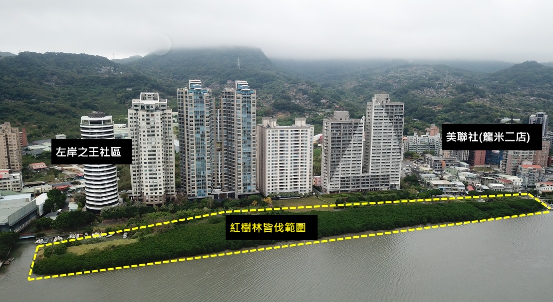 皆伐八里非保護區紅樹林範圍示意圖。 圖：新北市高灘處提供