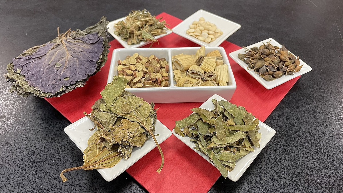 含有紫蘇葉、藿香、枇杷葉等中藥材的四季茶飲能夠清熱解毒、健胃整腸。 圖：恩主公醫院／提供