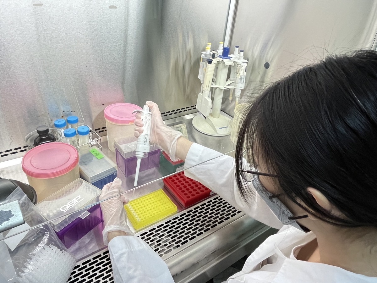 空氣樣本在BSL-2實驗室進行分析。 圖：高雄醫學大學/提供