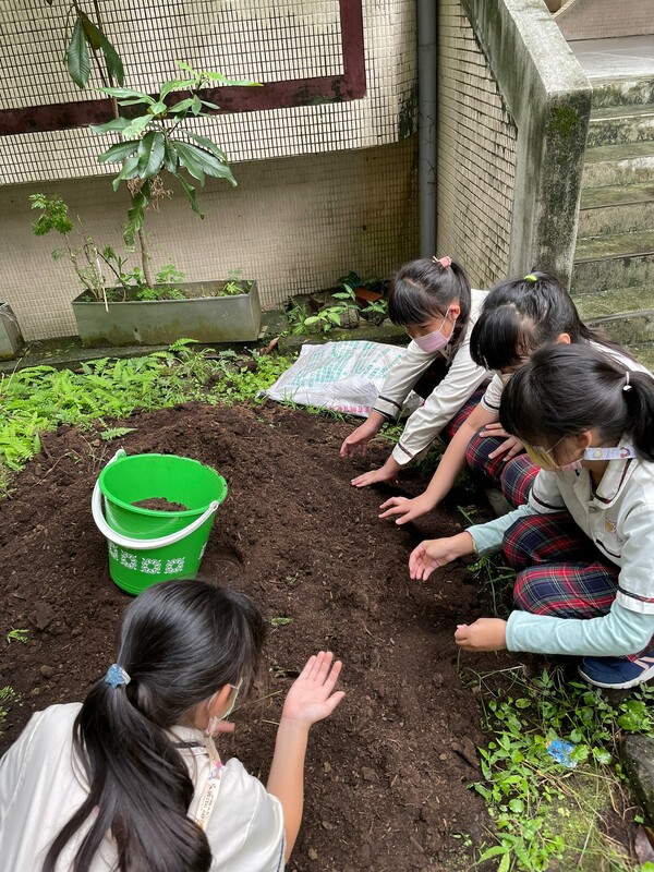 錦和國小學生幫忙覆土。 圖：錦和國小提供
