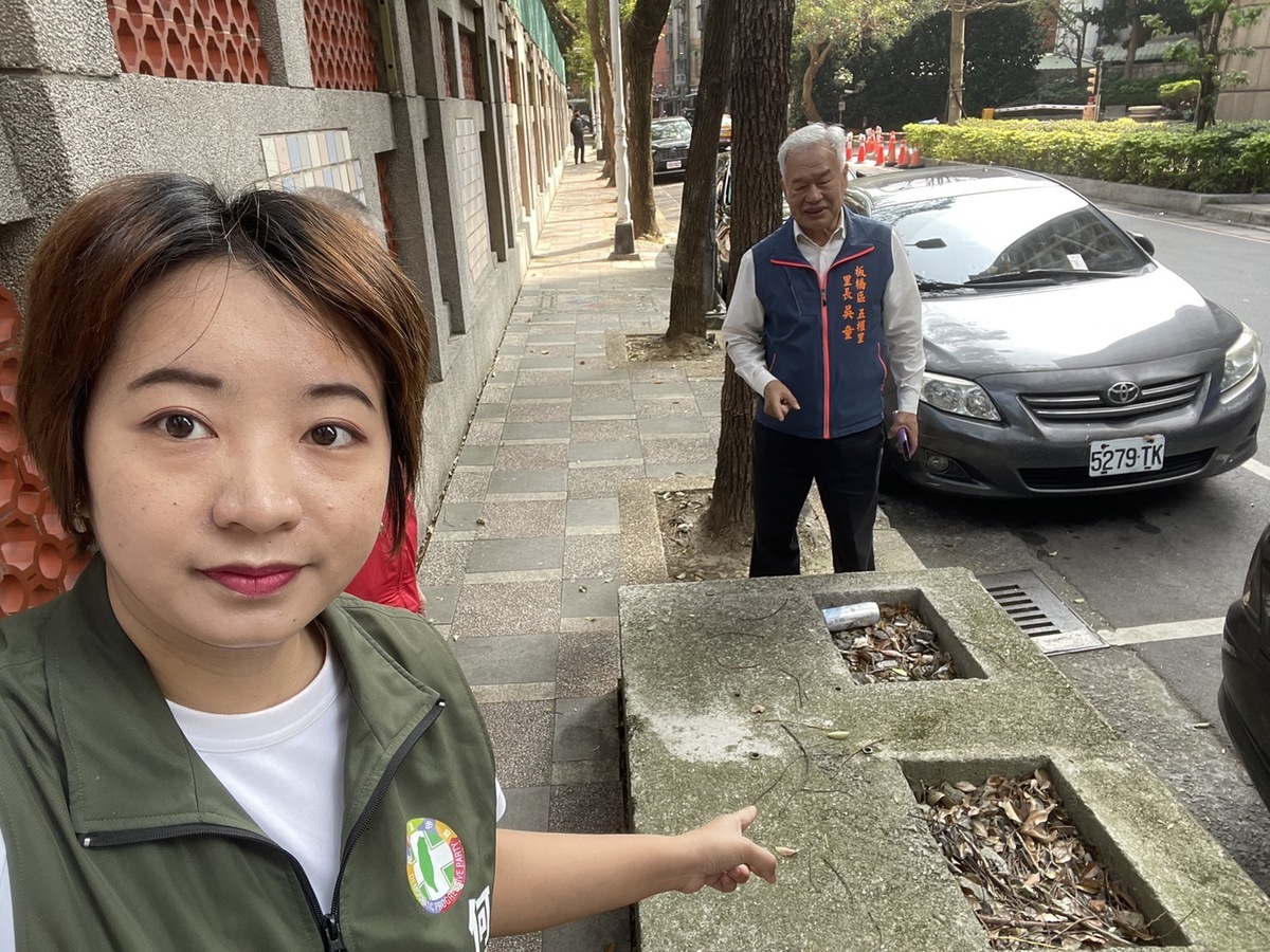 新北市議員黃淑君指板橋重慶國小樹附近行人道，樹根攏起長輩行走絆倒、學童上下課也容易跌倒。 圖：民進黨新北市議會黨團提供