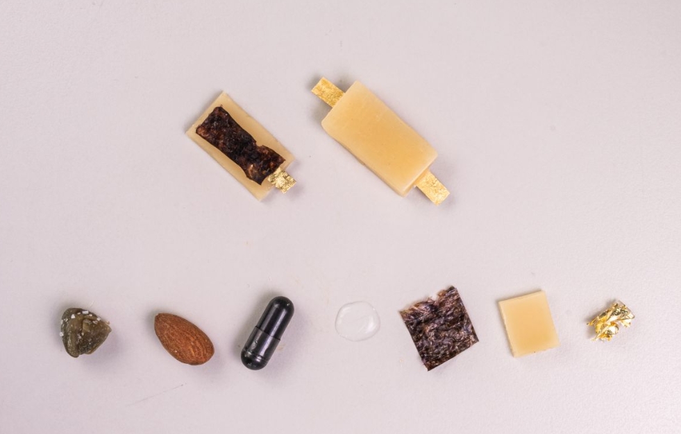 義大利技術研究院團隊研發出「實驗性可食用電池」，當中的材料都是天然的。 圖：取自義大利技術研究院官網