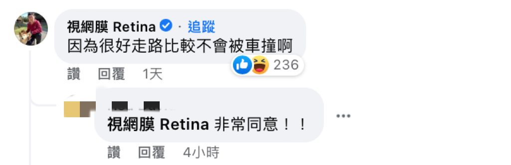網紅「視網膜」在貼文下方神回1原因，引發共鳴。 圖：翻攝自FB/日本自助旅遊中毒者