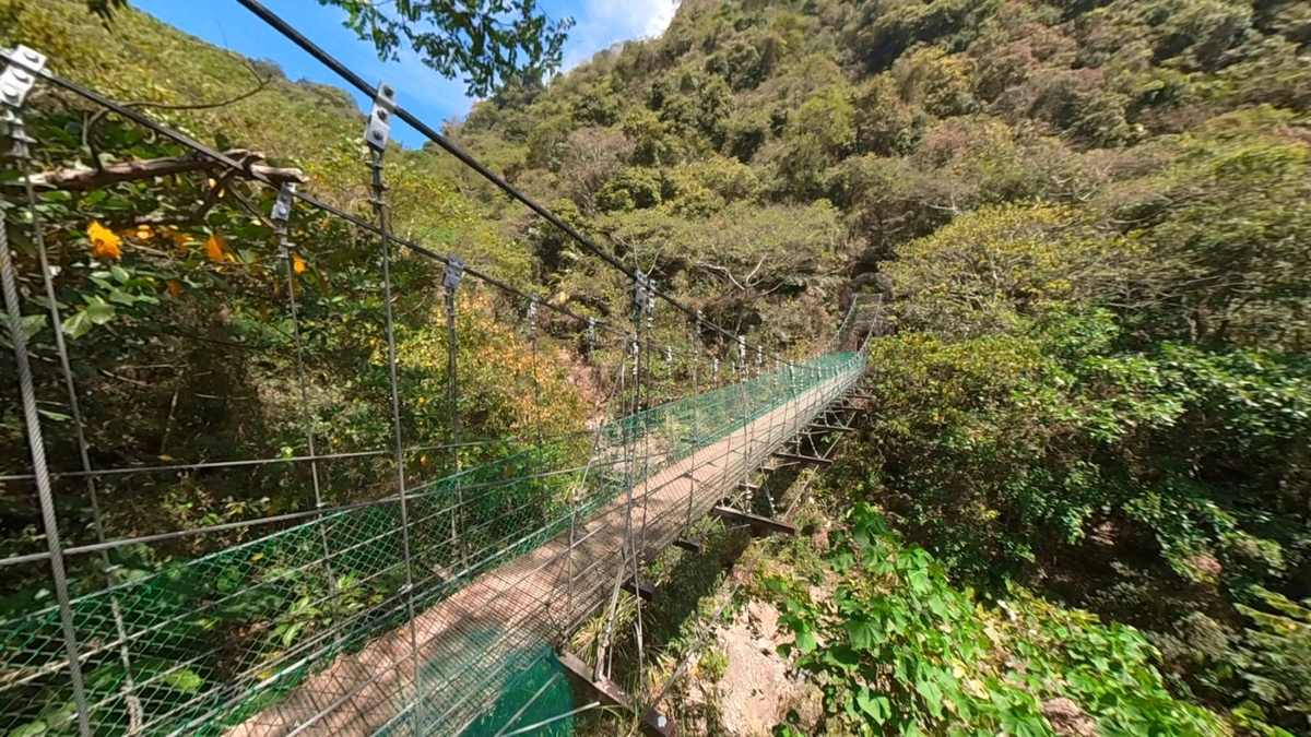 獨立山步道內吊橋為遊客必訪景點。 圖：嘉義林區管理處／提供