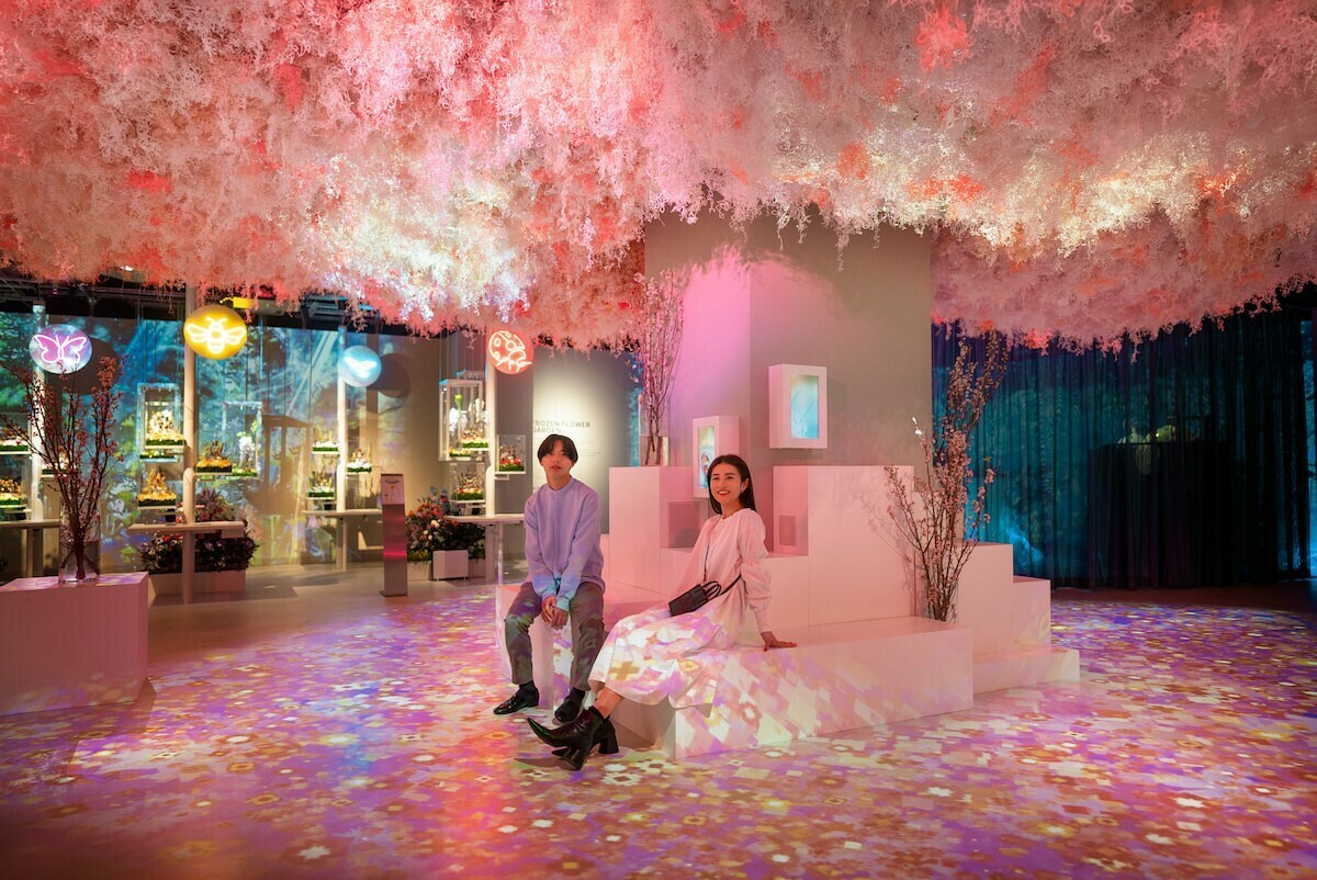 3月中旬在有樂町丸井百貨開幕的體驗型藝術展「NAKED FLOWERS FOR YOU」。 圖：NAKED FLOWERS FOR YOU Ⓒnaked inc.／提供