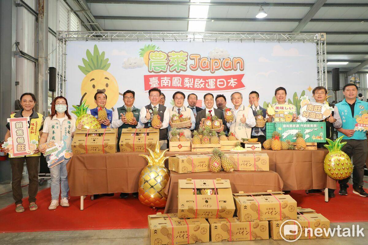 今年3月初台南市長黃偉哲率隊到日本九州拿下鳳梨鮮果訂單，近期陸續出貨，黃偉哲市長今日前往宏新青果合作社視察集貨包裝流程，日本永旺超市江口部長也特別來台出席記者會。立委郭國文及市議員陳秋宏、尤榮智都現身力挺。 圖：黃博郎／攝